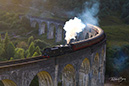 3S1A9456train-GL-MS