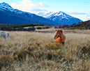 3S1A0764IcelandicPony-NA-GL