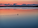 DJI_20230730055439_0833_D-GL