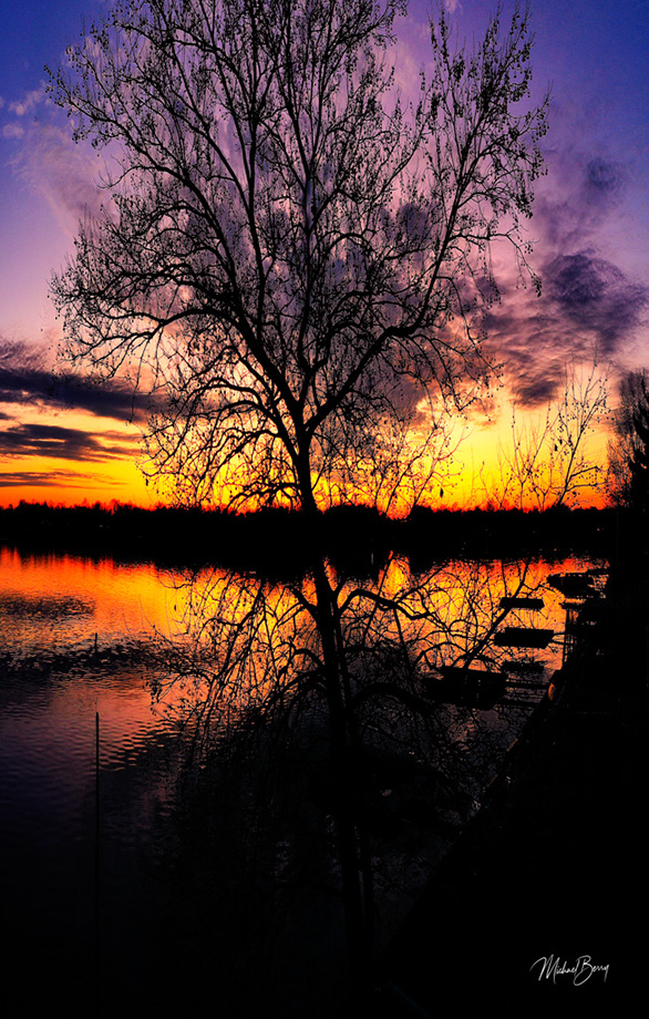 DJI_0366TreeSunset-ML-LA-MI