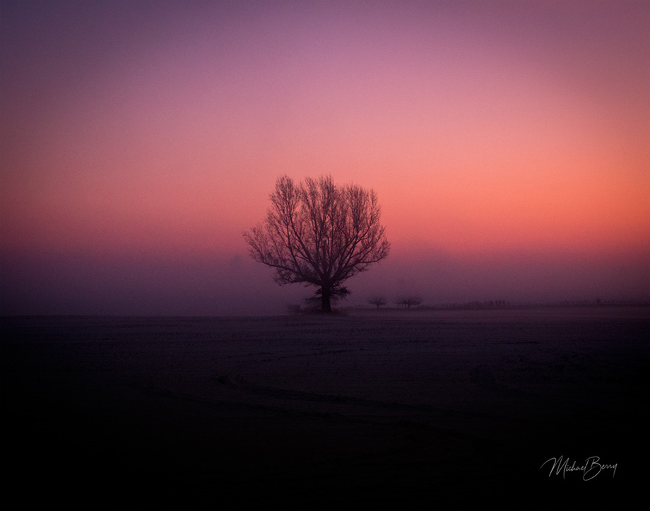 I6A8900Lonelytree-LA-MI