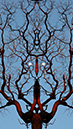 3S1A2456TreeMoonMirrorImage-MI