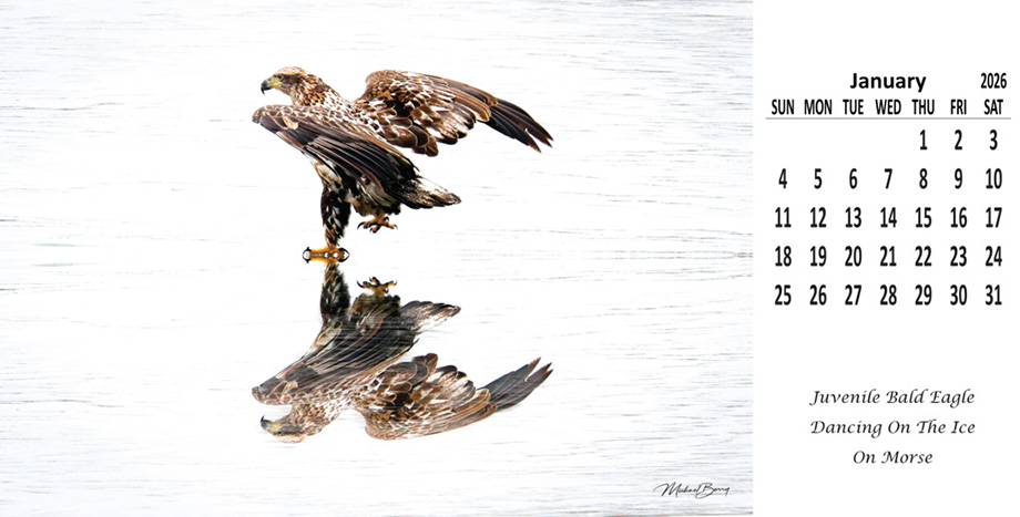 SmartPress11x55Final MLI 2025-2