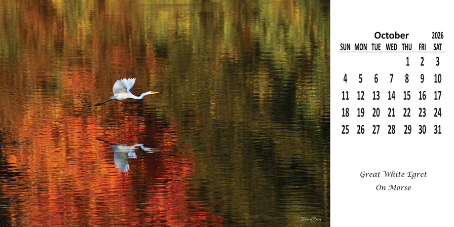 SmartPress11x55Final MLI 2025-11