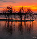 DJI_20241219173515_0437_D TreeReflectionsSunsetMorse19Dec2024-ML