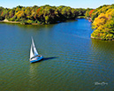 DJI_0909MorseSailboat30Sep2022-ML