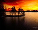 PointCombinedCrop-ML